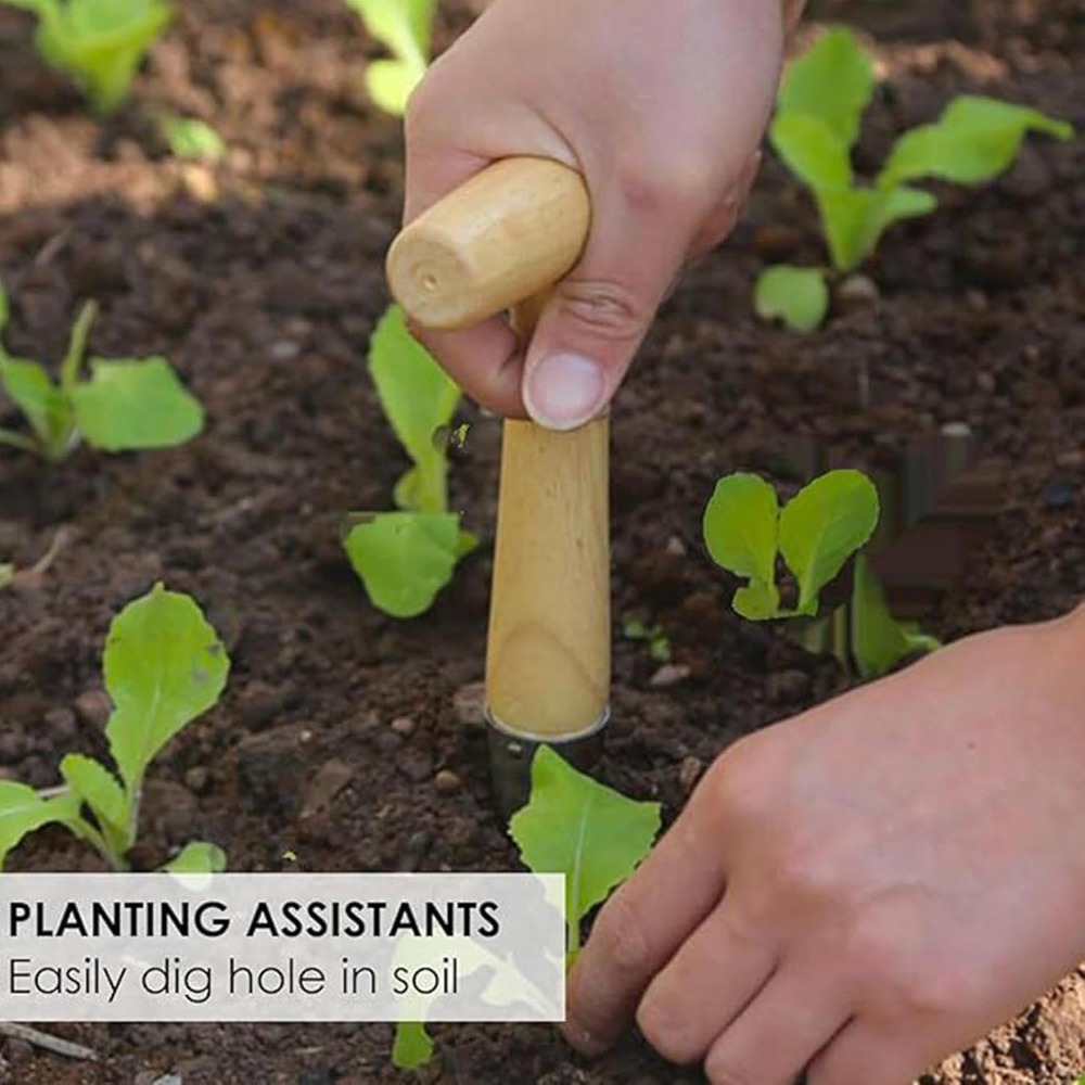Инструмент для пересадки расса – обзор и цена Vegetable Transplanter