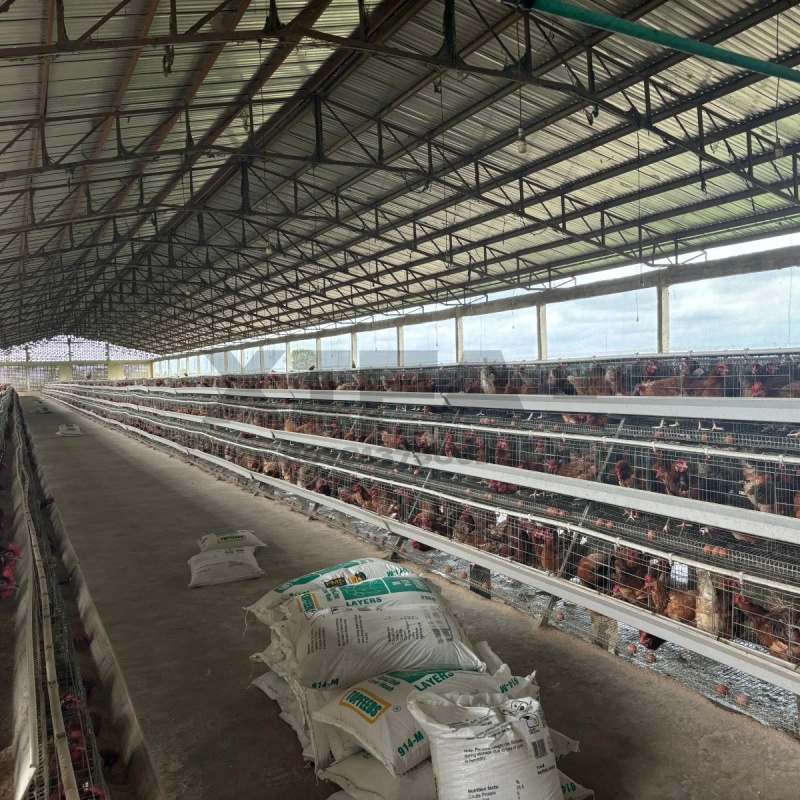 Продажа оборудования в Южной А – обзор и цена Farming Africa